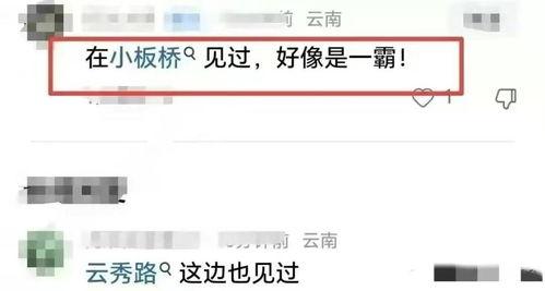 黑料车友爆料视频网站在线观看,揭秘热门视频网站在线观看幕后真相 第2张 黑料车友爆料视频网站在线观看,揭秘热门视频网站在线观看幕后真相 第2张